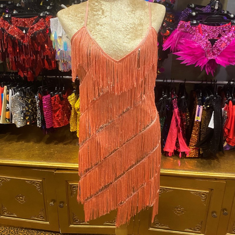 Stretch Sequin Dress with Fringing Apricot