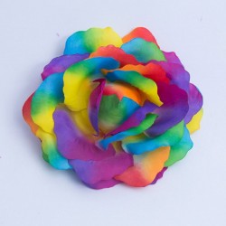 Rainbow Flower Hairclip Small
