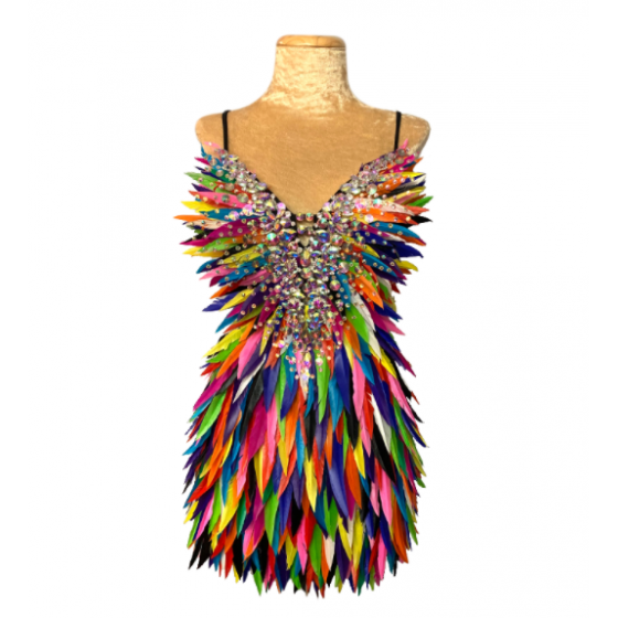 Mixed Colours Deluxe Diamanté Feather Dress