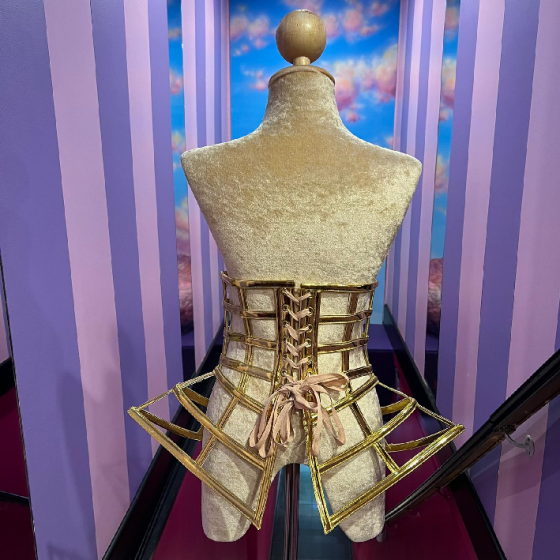 Gold Gaga Under Bust PVC Cage Corset