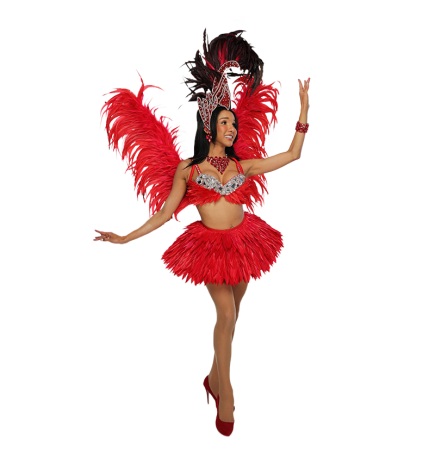 Red Medium Feathered Angel Wings