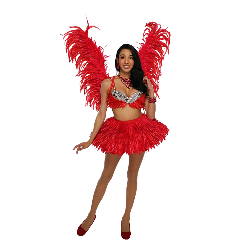 Red Medium Feathered Angel Wings