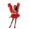 Red Medium Feathered Angel Wings