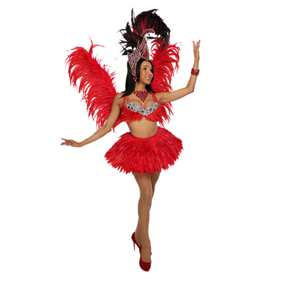 Red & Black Festival Glitter Feathered Headdress