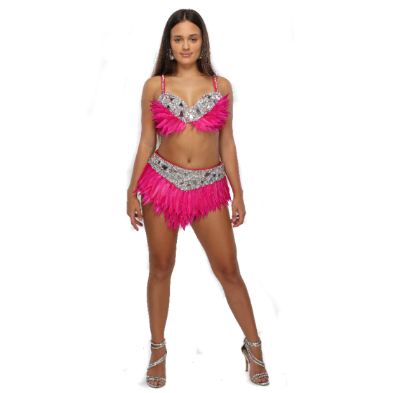 Hot Pink and Silver Feather Sequin Mirror Bra