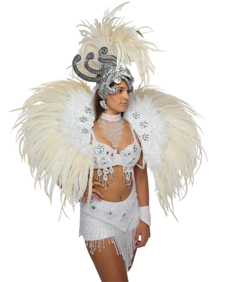 Glitter Carnival Feathered Mohawk