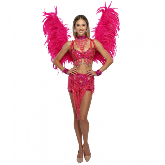 Hot Pink Large Feathered Angel Wings