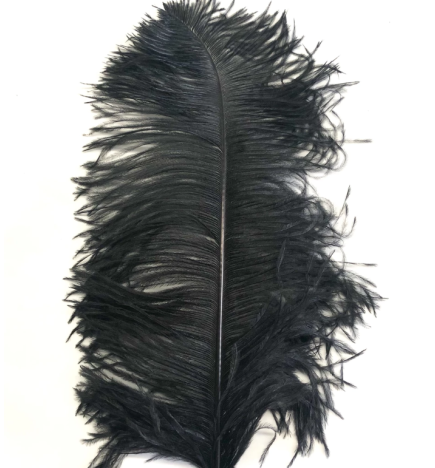 Large Showgirl Feathered Headpiece
