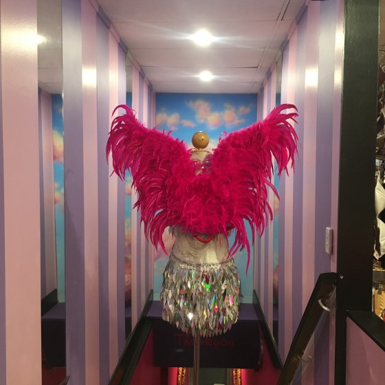 Hot Pink Small Feathered Angel Wings