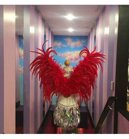 Red Small Feathered Angel Wings