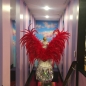 Red Small Feathered Angel Wings