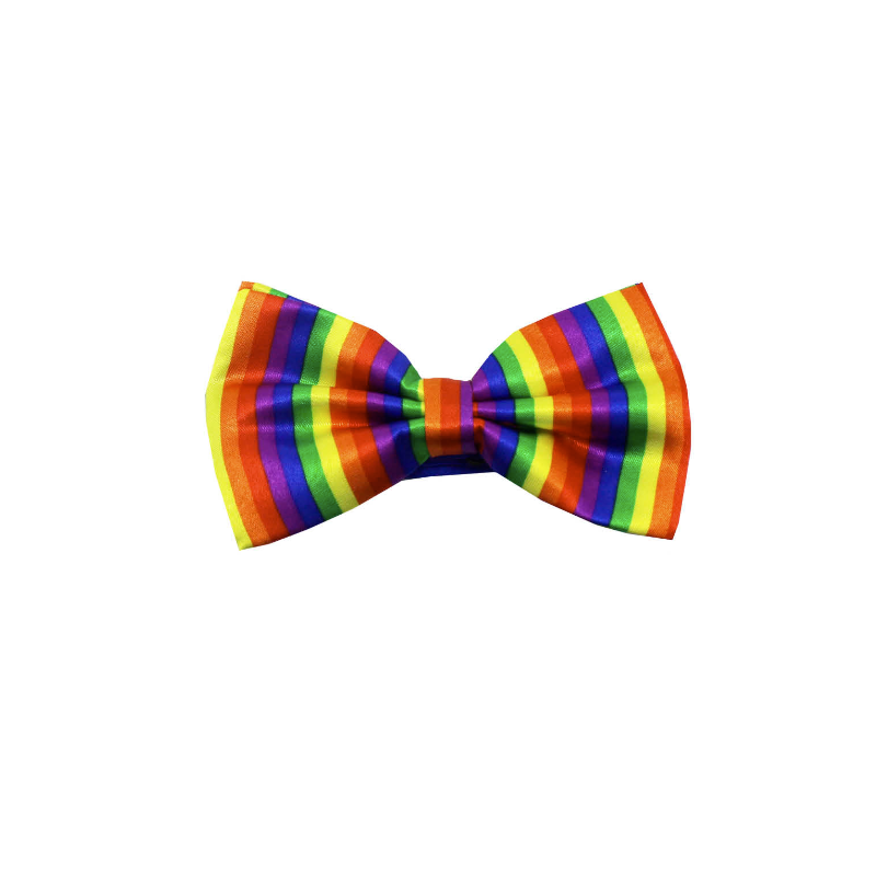 Rainbow Satin Bow Tie Vertical Stripe