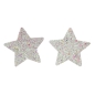 Silver Star Shaped Glitter Pasties Silver Star Shaped Glitter Pasties
