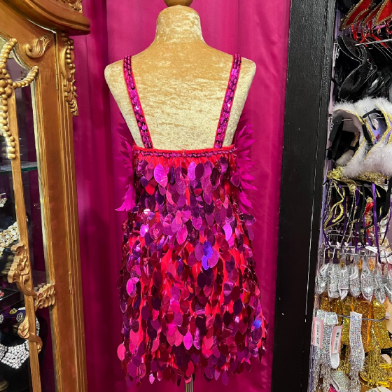 Hot Pink High Back Deluxe Spiked Feather and Oval Cut Sequin Dress