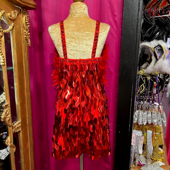 Red High Back Deluxe Spiked Feather and Oval Cut Sequin Dress