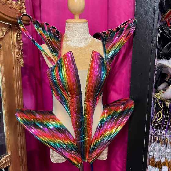 Rainbow Gaga Deluxe PVC Corset