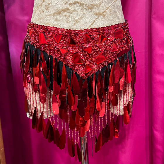 Red Teardrop Sequin Skirt