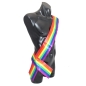 Rainbow Sash