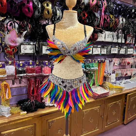 Mixed Colour Feather Skirt with Silver Mixed Trim