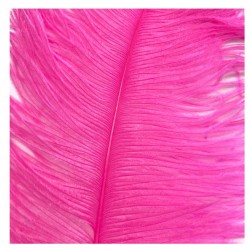 Ostrich Feather Plume 55-60cm Hot Pink