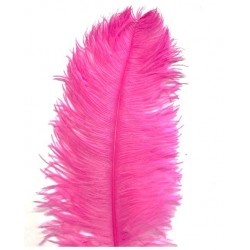 Hot Pink Ostrich Feather Plume 50-55cm