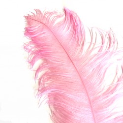 Ostrich Feather Plume 55-60cm Candy Pink