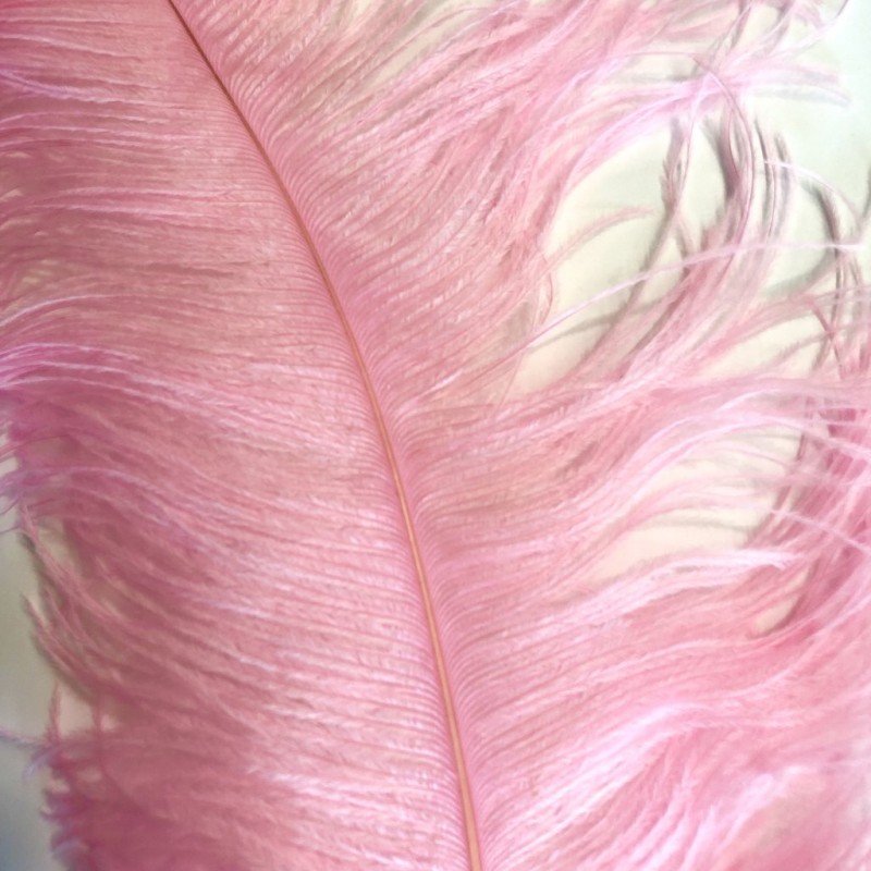 Ostrich Feather Plume 55-60cm Candy Pink