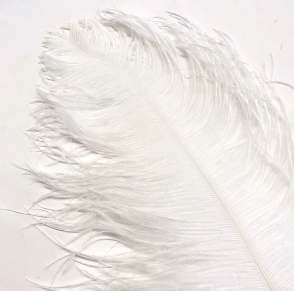 Ostrich Feather Plume 55-60cm White