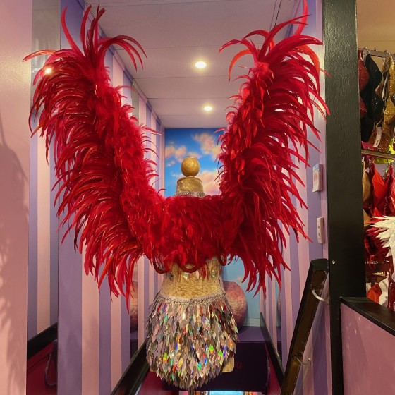 Red Large Feathered Angel Wings