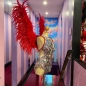 Red Large Feathered Angel Wings