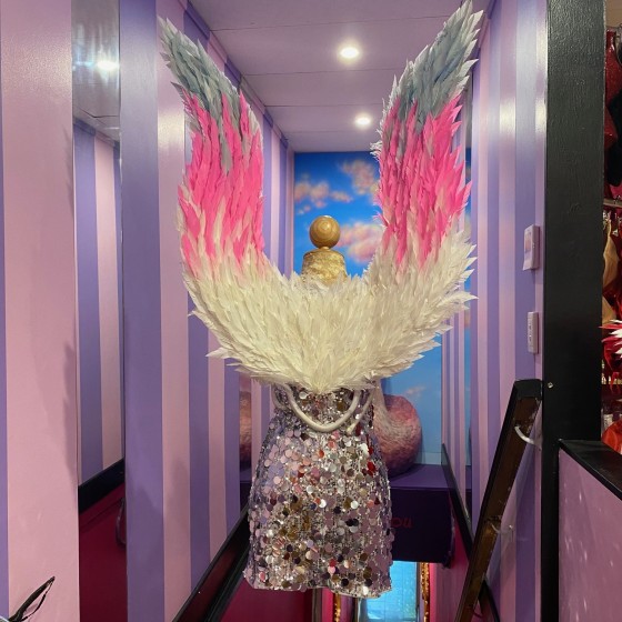 Ombre Large Feathered Angel Wings