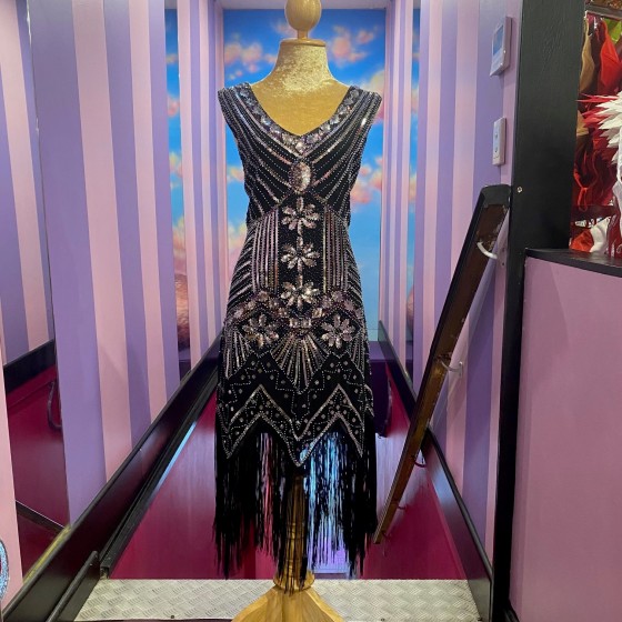 Oil Slick Deluxe Vintage Gatsby Stretch Fringe Dress