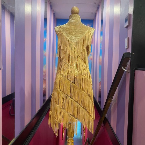 Gold Stretch Sequin Fringe Dress