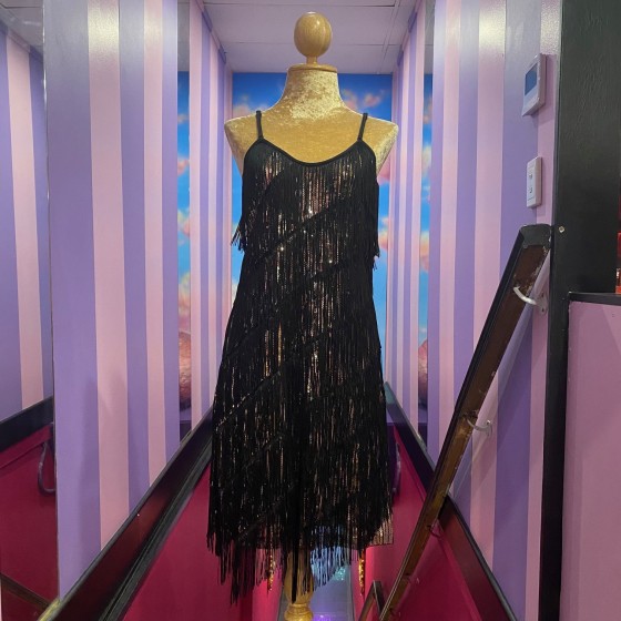 Gold Stretch Sequin Dress with Black Fringing