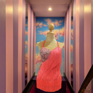 Hot Pink Cabaret Cotton Fringe Low Back Bodysuit with Sequin Bra Cup