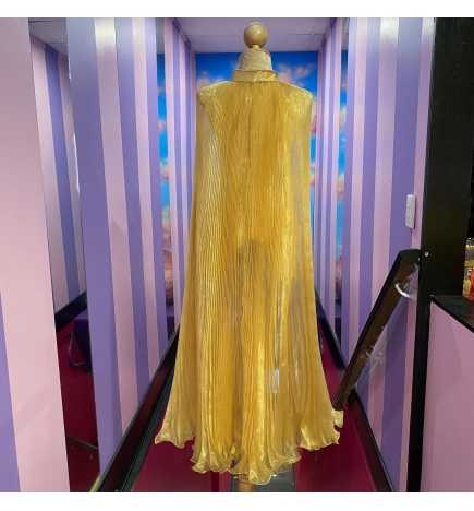 Gold Organza Pleated Cape