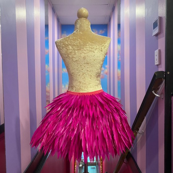 Hot Pink Deluxe Feather Skirt