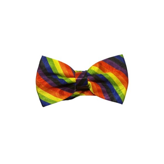 Rainbow Satin Bow Tie Diagonal Stripe
