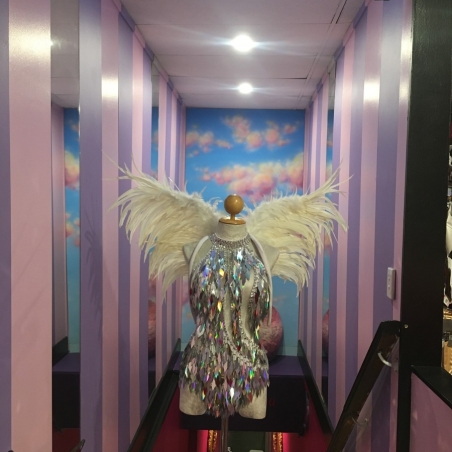 Hire-Small Feathered Angel Wings