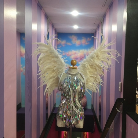 Hire-Medium Feathered Angel Wings