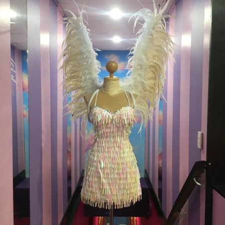 Hire-Large Feathered Angel Wings