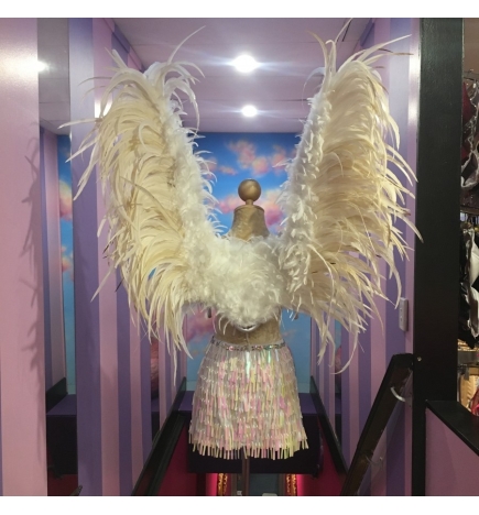 Hire-Large Feathered Angel Wings
