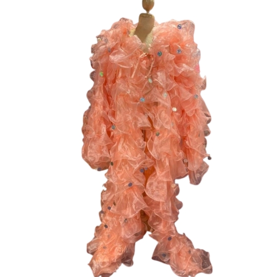 Apricot Crystal Organza Ruffle Jacket with Penny Sequins