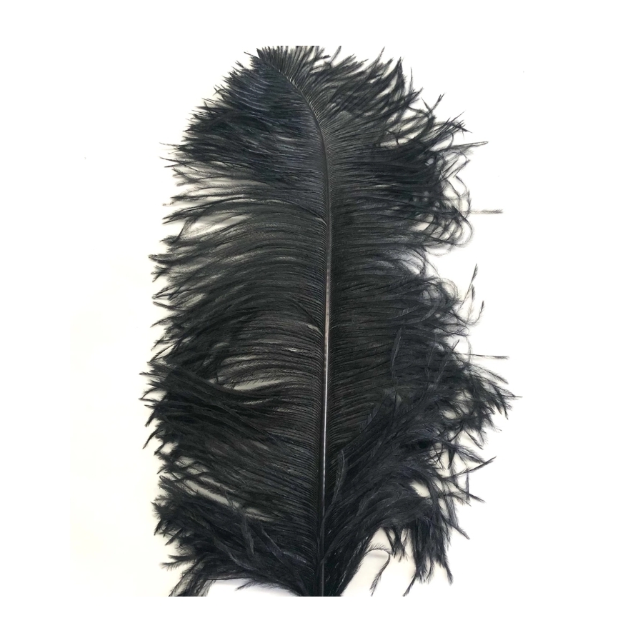 Black Ostrich Feather Plume 50-55 cm