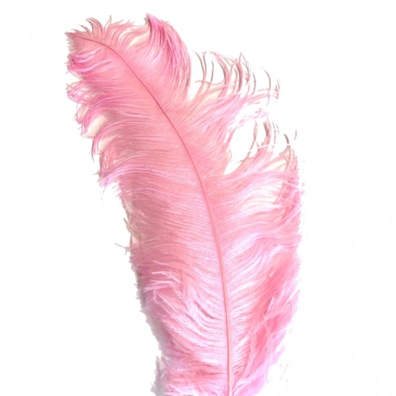 Candy Pink Ostrich Feather Plume 50-55 cm