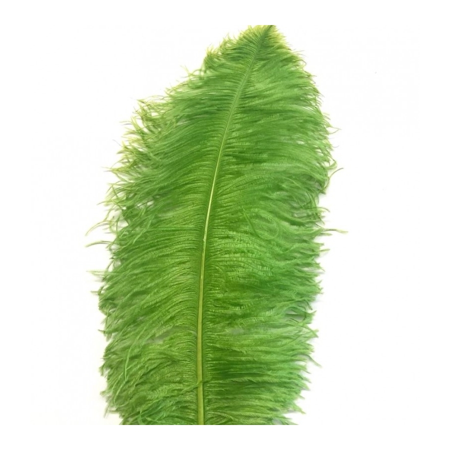 Lime Green Ostrich Feather Plume 50-55 cm