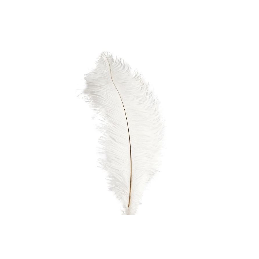 White Ostrich Feather Plume 50-55 cm