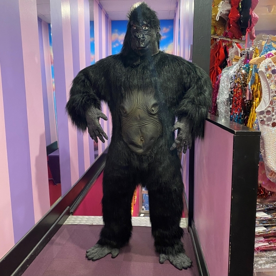 Hire-Gorilla Costume