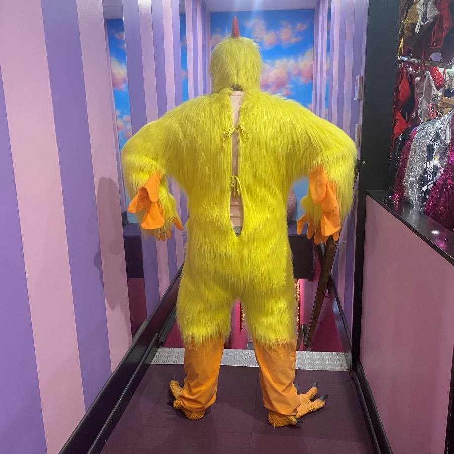 Hire-Chicken Suit Costume