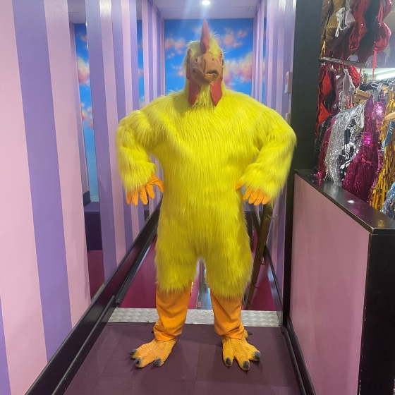 Hire-Chicken Suit Costume